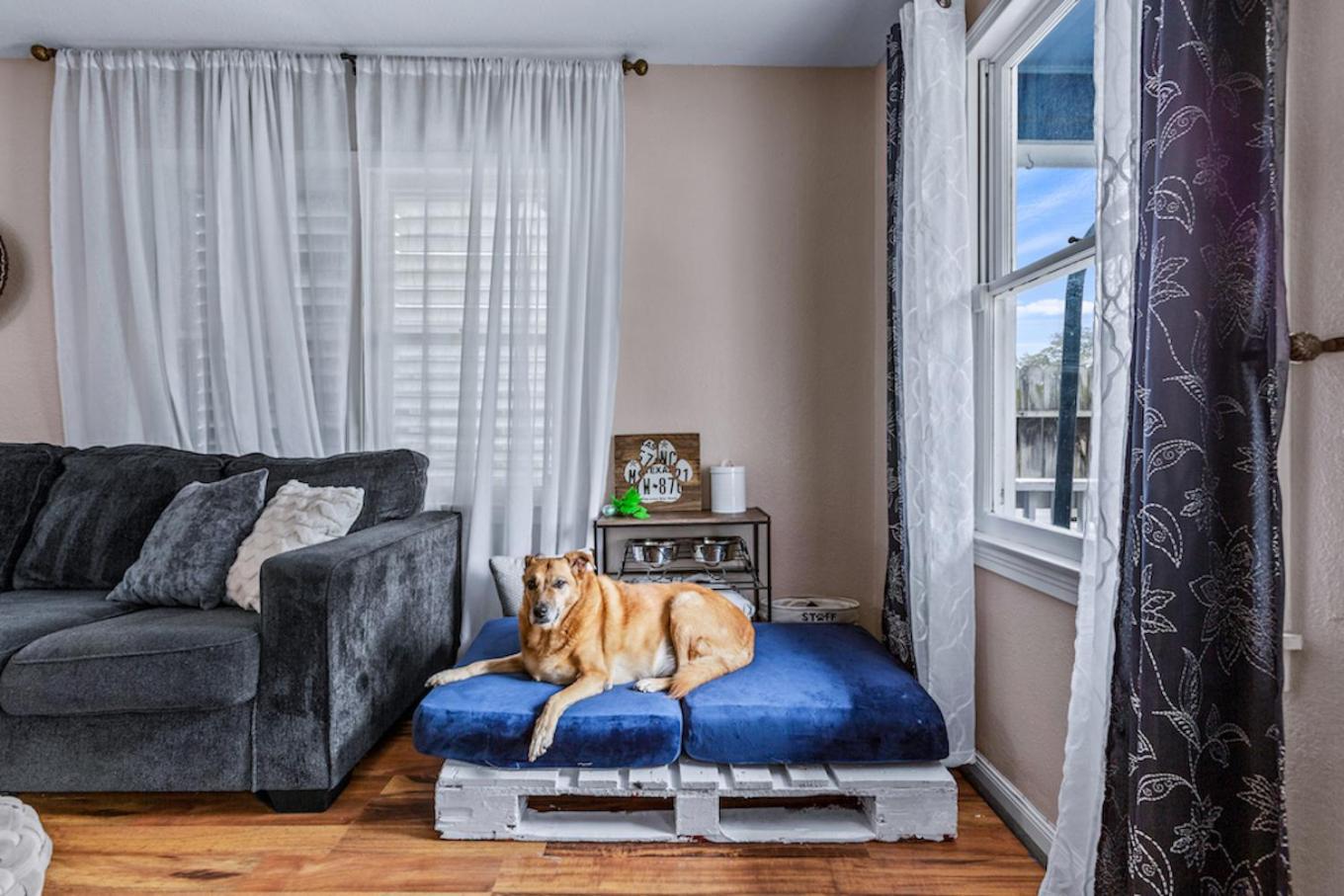 The Blue Oasis With Handicap Ramp Access Dog Friendly & Cowboy Pool Galveston Exterior foto